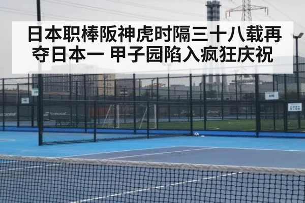 日本职棒阪神虎时隔三十八载再夺日本一 甲子园陷入疯狂庆祝