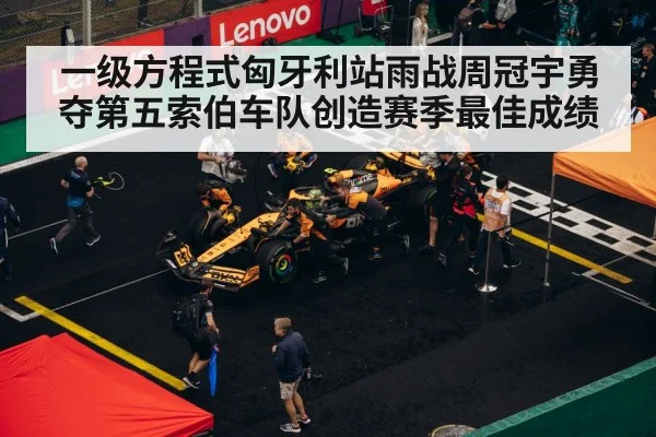 F1 pit stop strategy