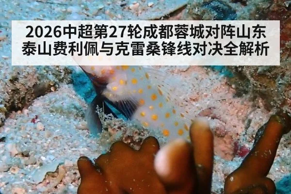 2026中超第27轮成都蓉城对阵山东泰山费利佩与克雷桑锋线对决全解析